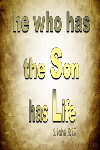 1 John 5:12 He Who Has The Son Has Life (yellow)
